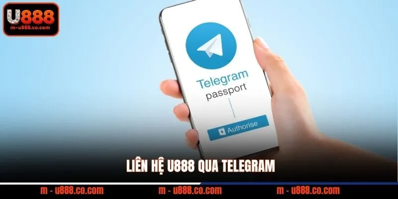 Liên hệ U888 qua Telegram